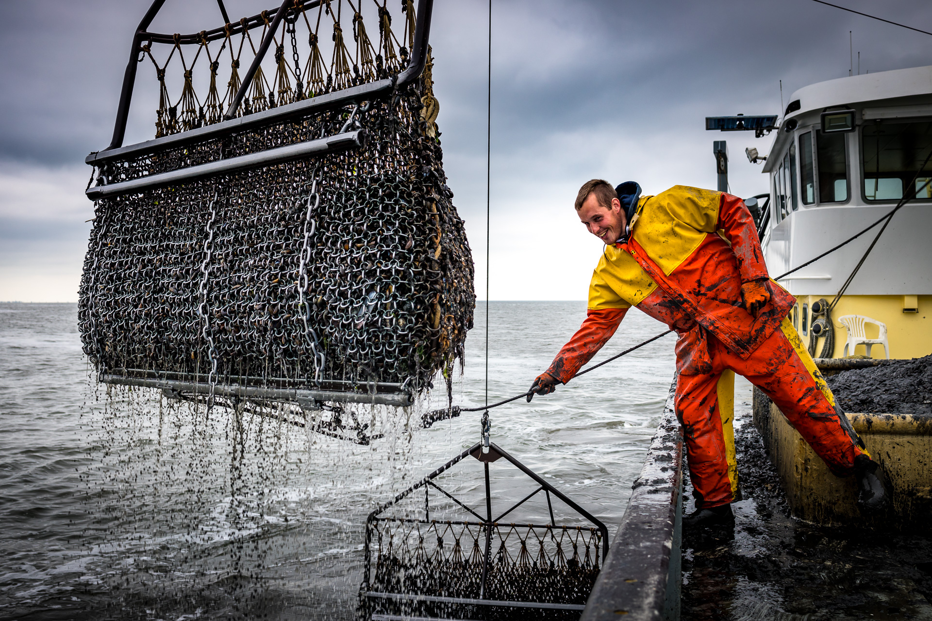 AAC Recommendation on framing new EU financial tools to support good husbandry practices in shellfish farming