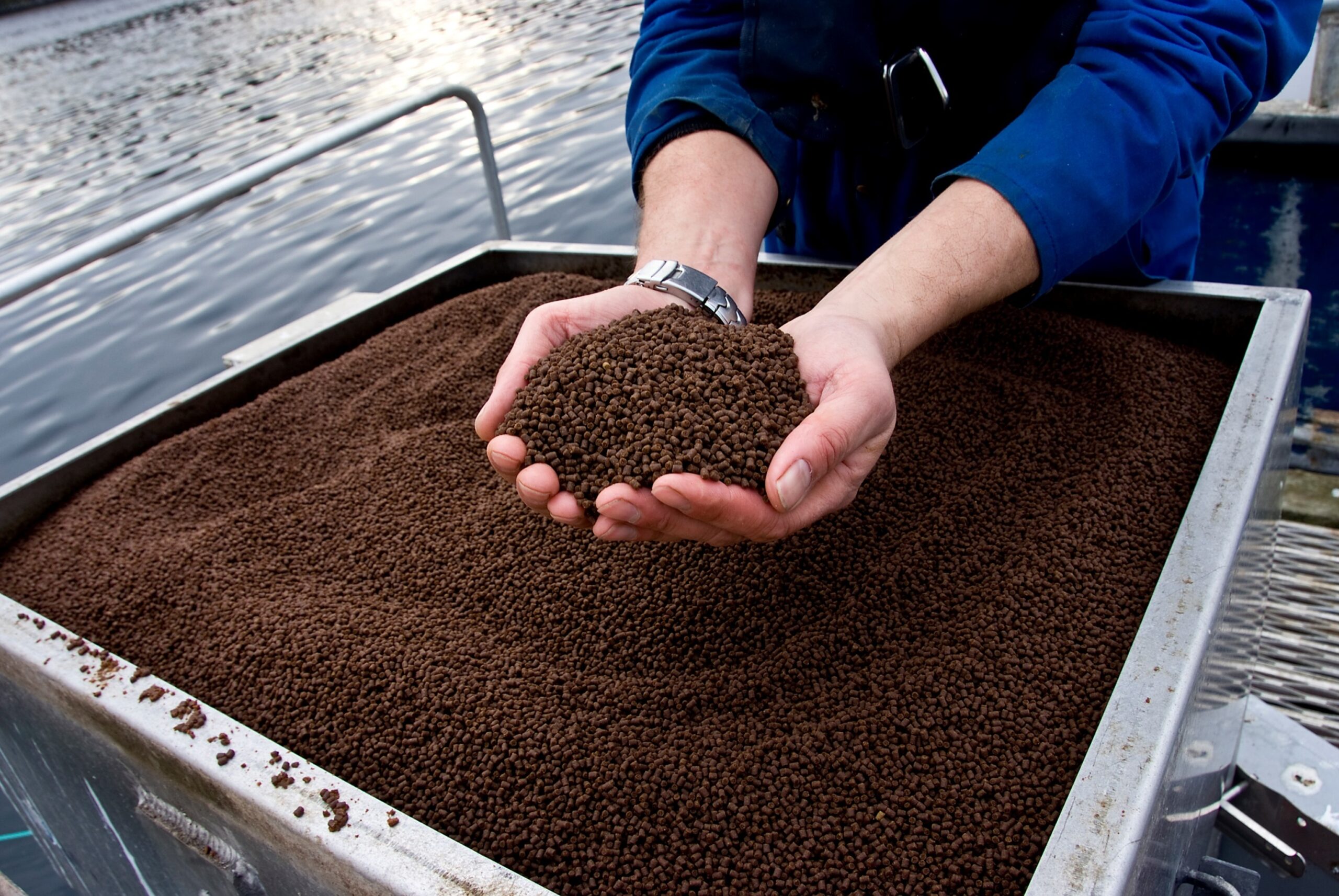 AAC Recommendation on the Real Impact of the Medicated Feed Regulation and its Implementation in the EU Member States