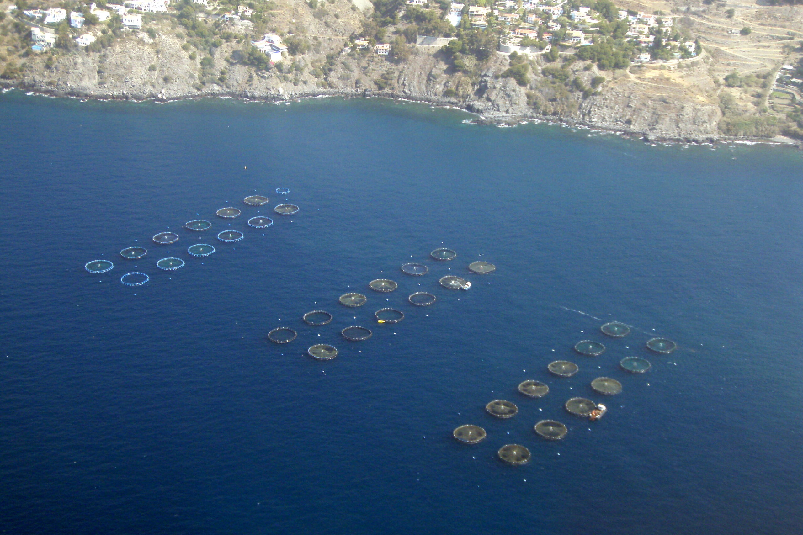 AAC Recommendation on the Use of Satellite Data for Aquaculture
