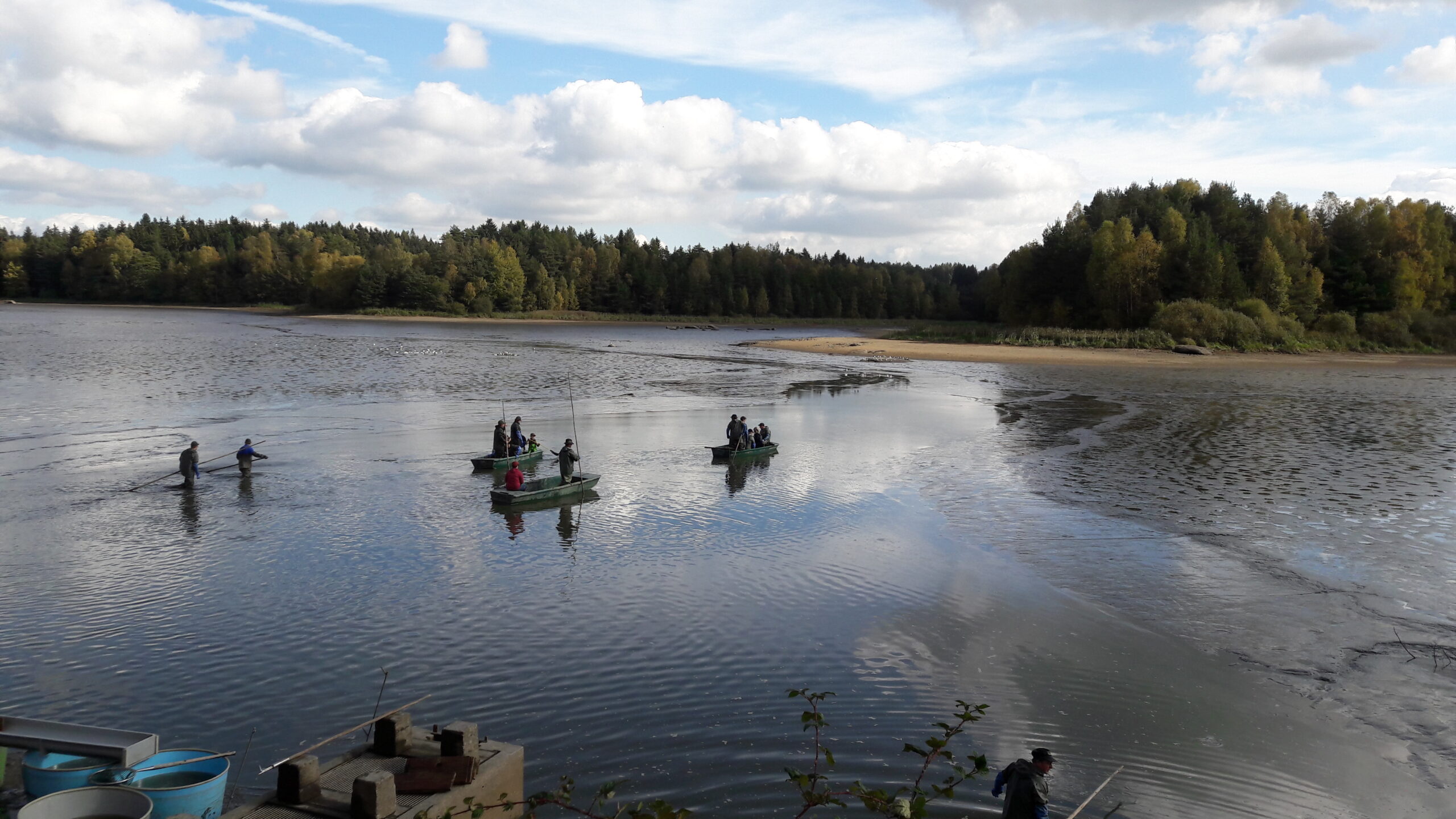 AAC Recommendation on European fisheries and aquaculture statistics