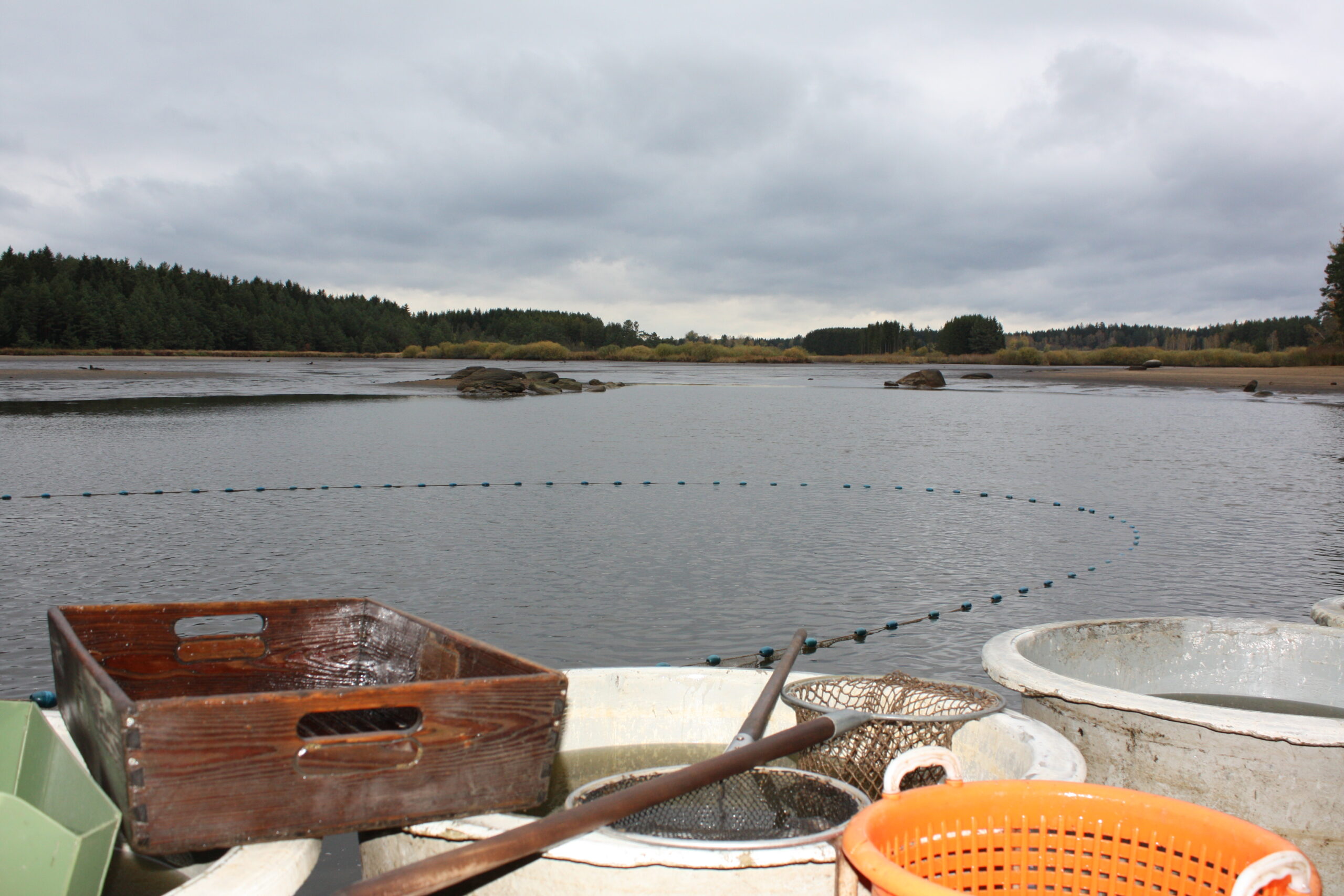 AAC Recommendation on safeguarding aquaculture in the targeted revision of the Water Framework Directive