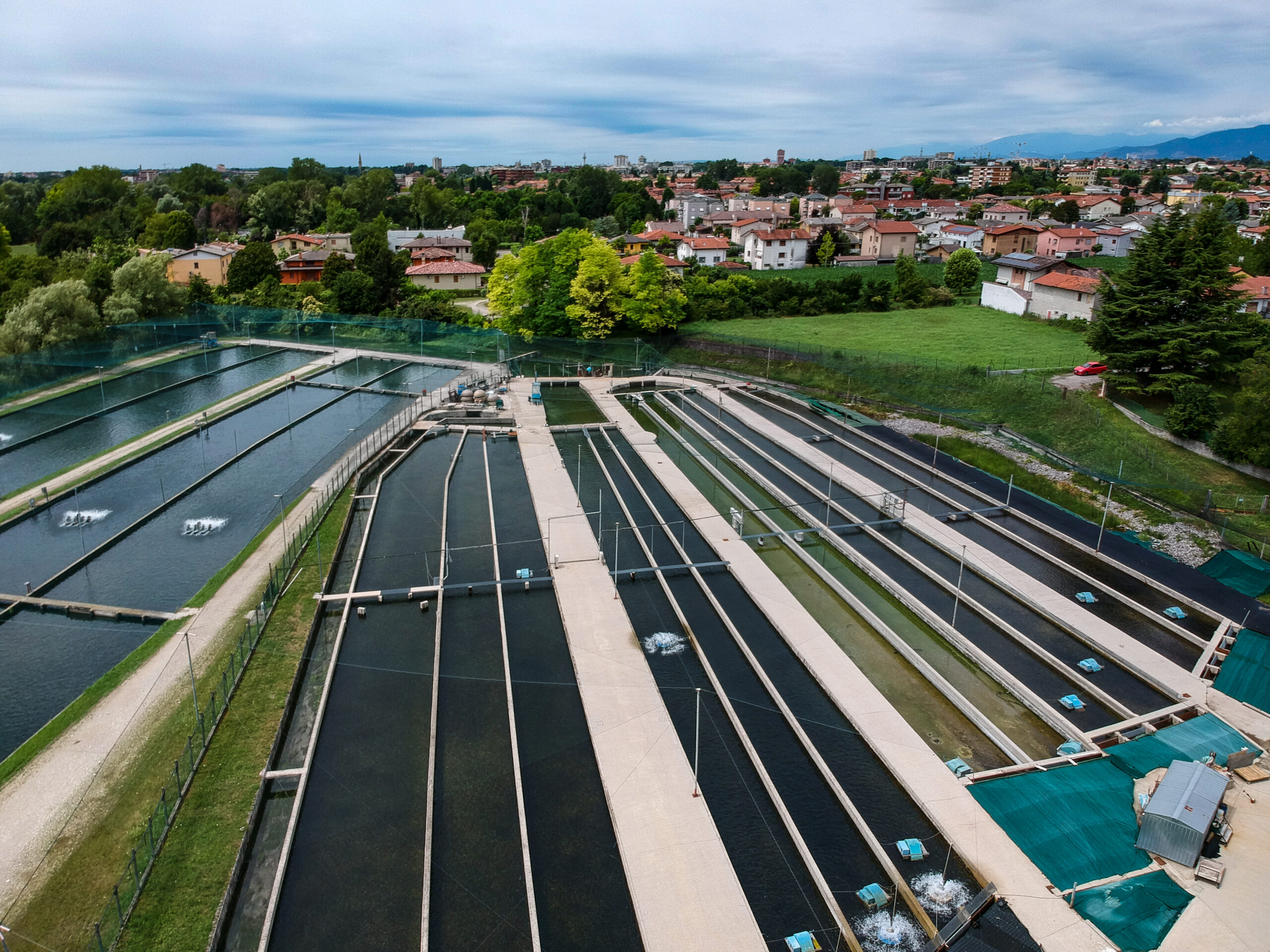 AAC Position Paper on attracting investments for aquaculture